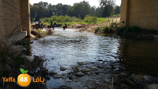 roben tabee3ar (25).JPG